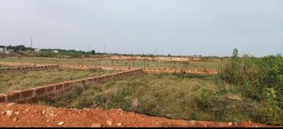 Patrapada Plot View 3