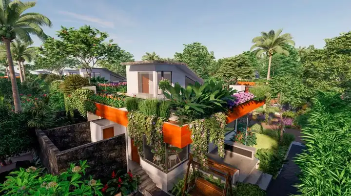 Organo Depalle Main Image 1