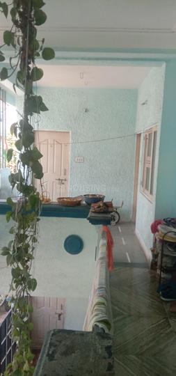 TapshTapshwari bag svl hotel road More Images 1