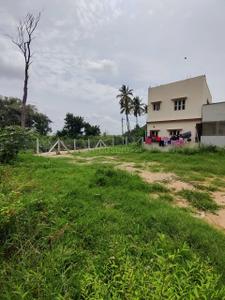 Siddapura Plot View 2