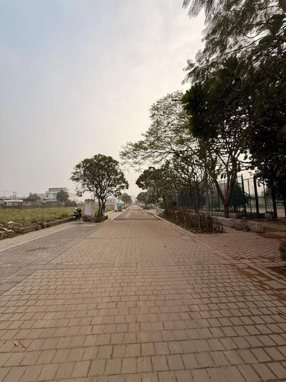 Ireo City Plots Main Image 1