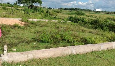 Paniora Plot View 1