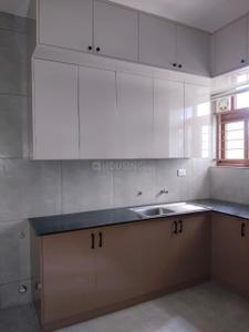 Kitchen Image of 1288 Sq.ft 2 BHK Apartment / Flat for rent in M.G. Road Kochi for Rs. 45000