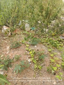 Image of 2400 Sq.ft Residential Plot / Land for sale in Vidyaranyapura, Bengaluru for Rs. 28000000
