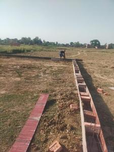 Patligram developers  Plot View 2
