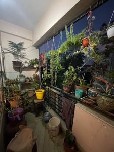Balcony Image of 1560 Sq.ft 3 BHK Apartment / Flat for sale in Chinar Park Kolkata for Rs. 15000000