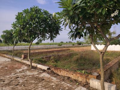 Image of 624 Sq.ft Residential Plot / Land for sale in Del NCR Aerocity Jewar, Shahpur Kala, Greater Noida for Rs. 1610300