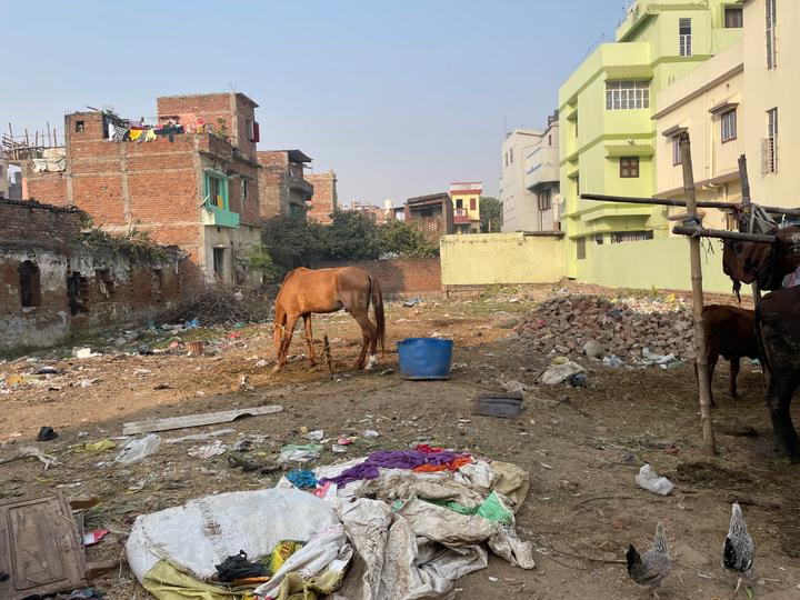 Raja Bazar, Bailey Road Main Image 1
