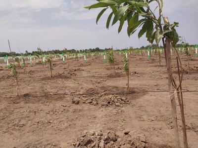 Image of 9600 Sq.ft Residential Plot / Land for sale in Chengalpattu, Chennai for Rs. 2400000