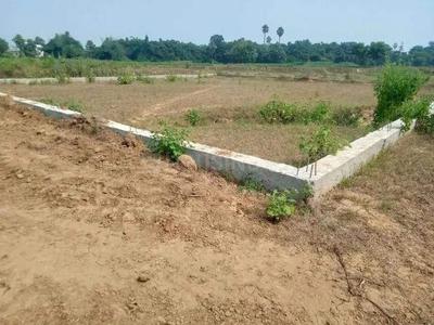 Nohsa Plot View 2