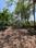 Mapusa Plot View 2
