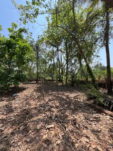 Mapusa Plot View 2