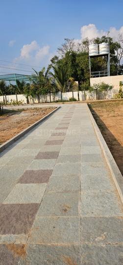 Indo Qatar Magadha Main Image 1