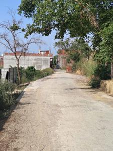 Residential Plot
