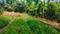Keralarealty Main Image 1