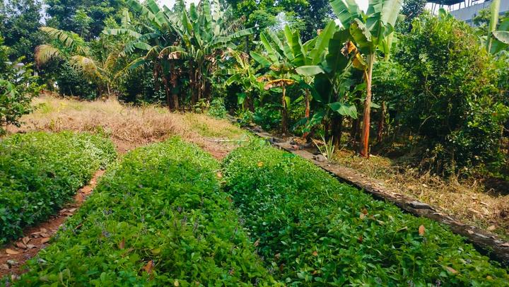 Keralarealty Main Image 1