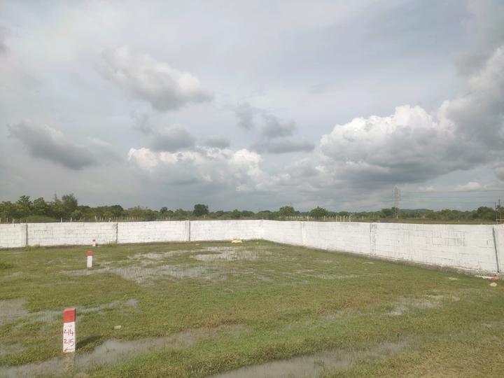 Padappai Main Image 1