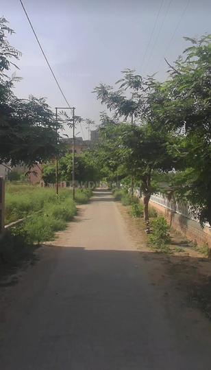 Luksar Main Image 1