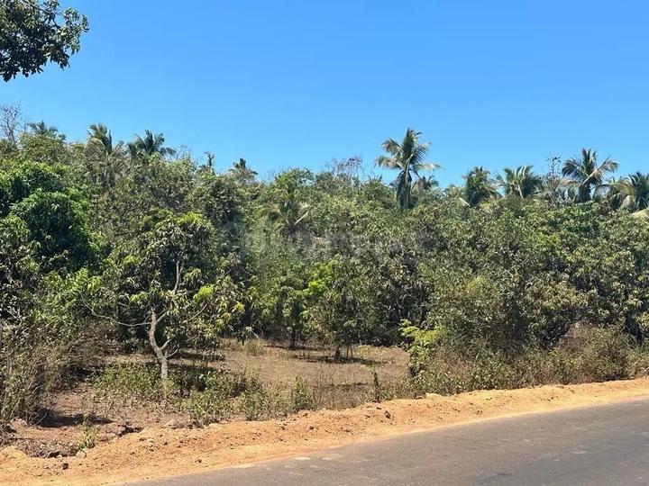 400 Sqft Agricultural Land for Sale in Vengurla, Sindhudurg Property