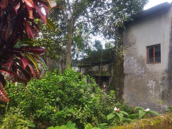 Ramchandrapur, Narendrapur Main Image 1