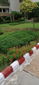 Image of Roomsoom in Sector 62, Noida