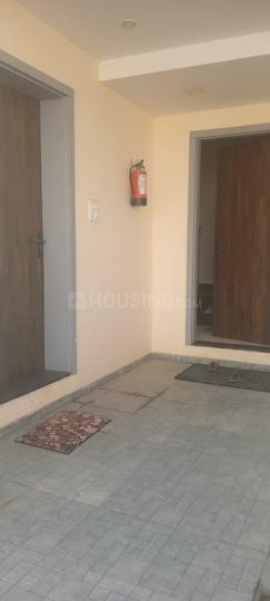 Gaj green Main Image 1