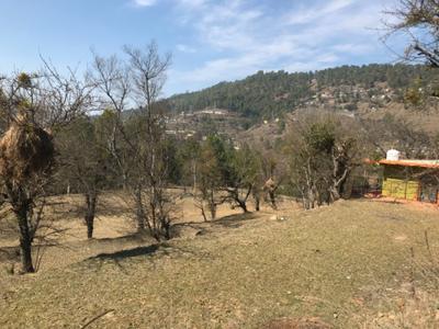 Image of 10800 Sq.ft Residential Plot / Land for sale in Pandeykhola, Almora for Rs. 1000000