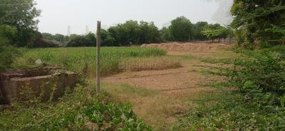 Ghuma Plot View 2