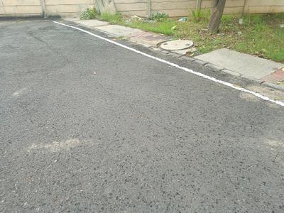 Satya Merano Greens Internal Roads 1