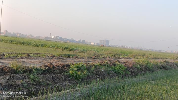 Sampatchak Green City Main Image 1