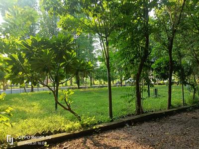 Image of 969 Sq.ft Residential Plot / Land for sale in Kumhari NP Part, Bhilai for Rs. 1550000