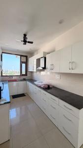 Kitchen Image of 1750 Sq.ft 3 BHK Apartment / Flat for rent in Wembley Wembleys Co Op House Building Society, Sector 91 Mohali for Rs. 50000