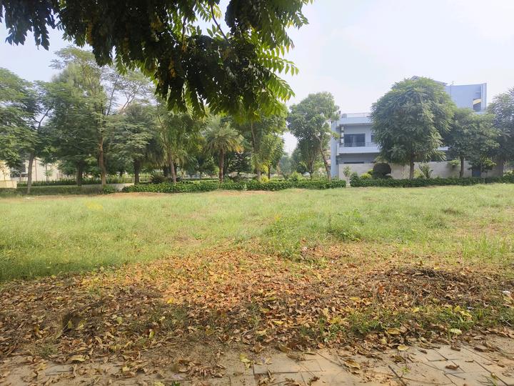 Roots Courtyard 2 Main Image 1