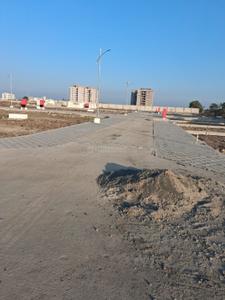 Oasis 36 Plot View 1