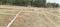 Naubatpur  Plot View 2