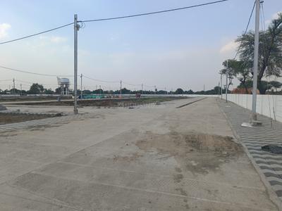 Manglia Plot View 1