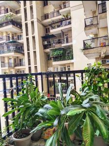 Balcony Image of Suarav Gupta in Noida Extension, Greater Noida