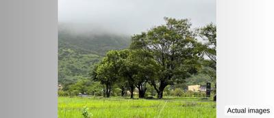 Kamshet Plot View 2