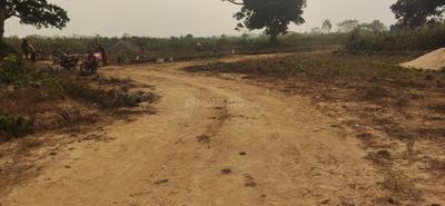 Image of 2000 Sq.ft Residential Plot / Land for sale in Andharua, Bhubaneswar for Rs. 6600000