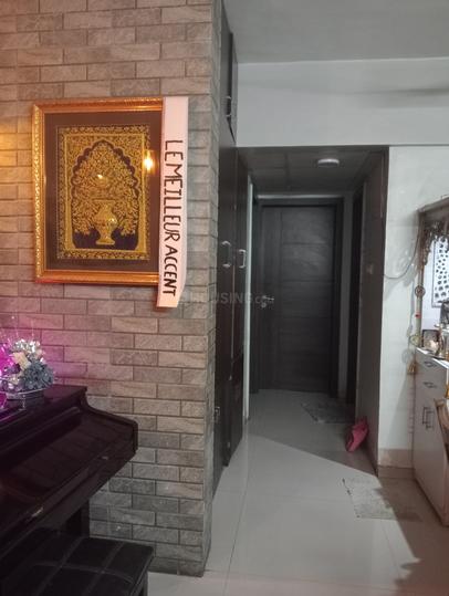 Alcon Acacia Main Image 1