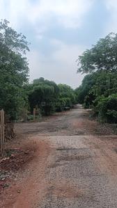 Sir M Vishweshwaraiah Layout 2nd Block Plot View 1