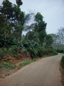 Image of 700 Sq.ft 4 BHK Independent House for sale in Payyampally, Wayanad for Rs. 6500000