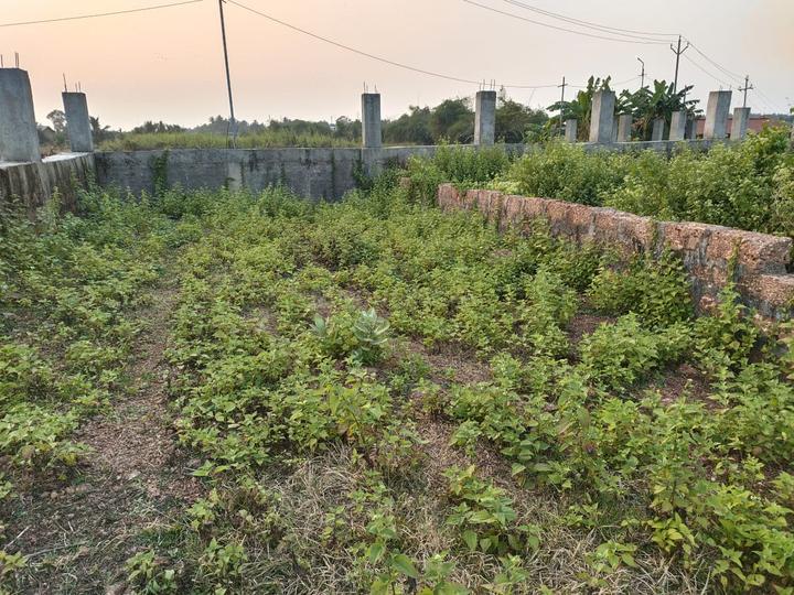 DARUTHENGA Main Image 1