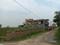 Apparent JB Garden Main Image 1