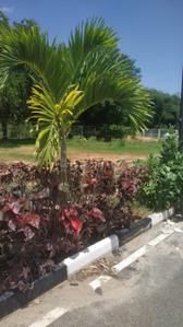 Image of 1500 Sq.ft Residential Plot / Land for sale in Marsur, Bengaluru for Rs. 12750000