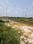 Swapnabhumi Internal Roads 2