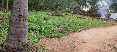 Sontyam Plot View 2