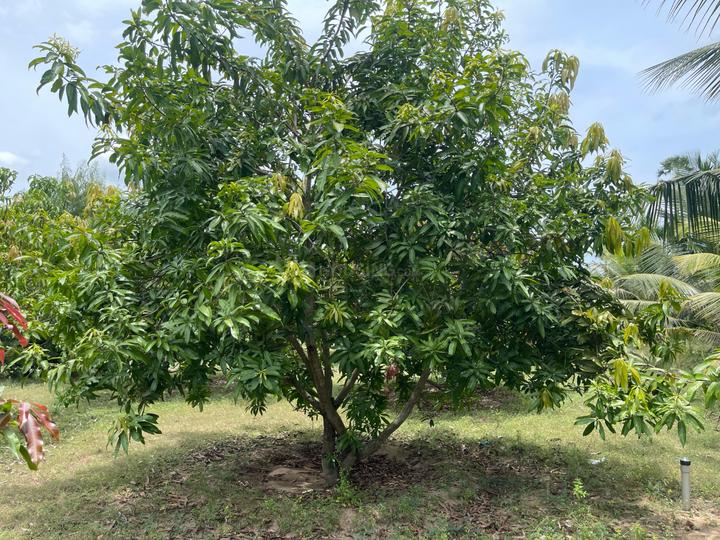 Edaikazhinadu Main Image 1