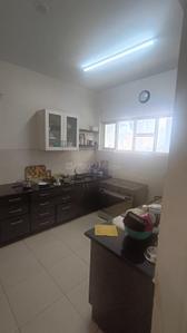Kitchen Image of 2150 Sq.ft 3 BHK Apartment / Flat for sale in Bannerughatta Bengaluru for Rs. 25000000