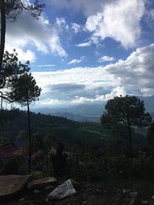Image of 1550 Sq.ft 2 BHK Villa for sale in Vimoksha Valley III, Majkhali, Ranikhet for Rs. 12500000